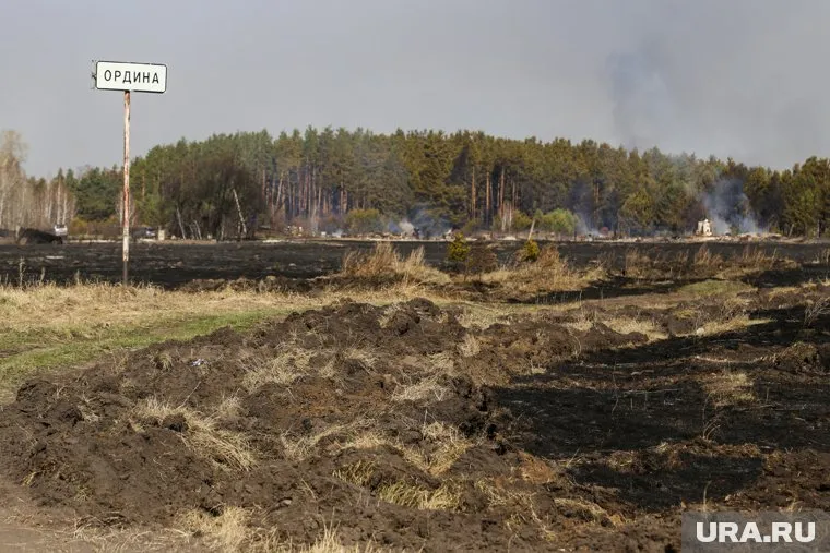 За данные о виновниках лесных пожаров власти будут платить по 2000 рублей
