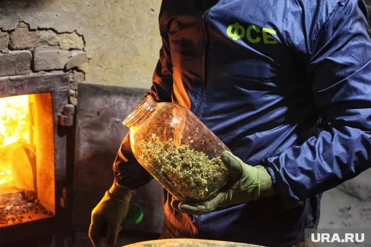 Чекисты провели операцию перед Новым годом