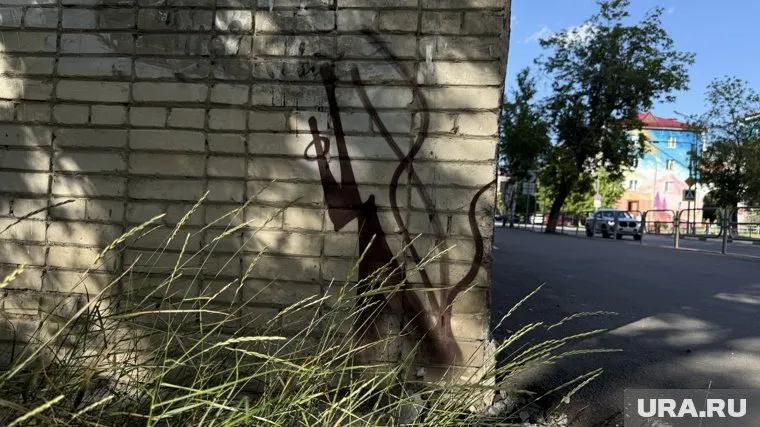 Курганский анонимный художник объяснил изменение в изображении кошек 