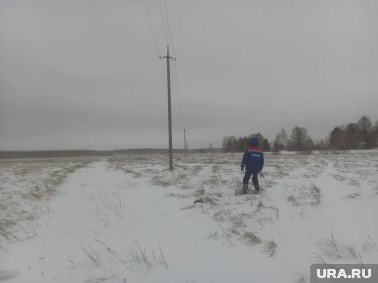 Снежный ураган привел к отключениям линий электропередачи. Без света остались десятки населенных пунктов