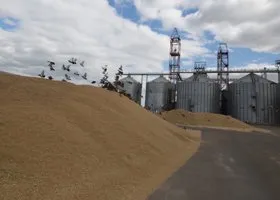 Налоговая служба объяснила причину обысков в крупнейших агрохолдингах страны