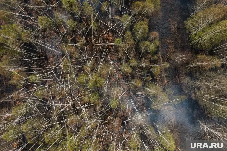 Огонь вспыхнул из-за грозы