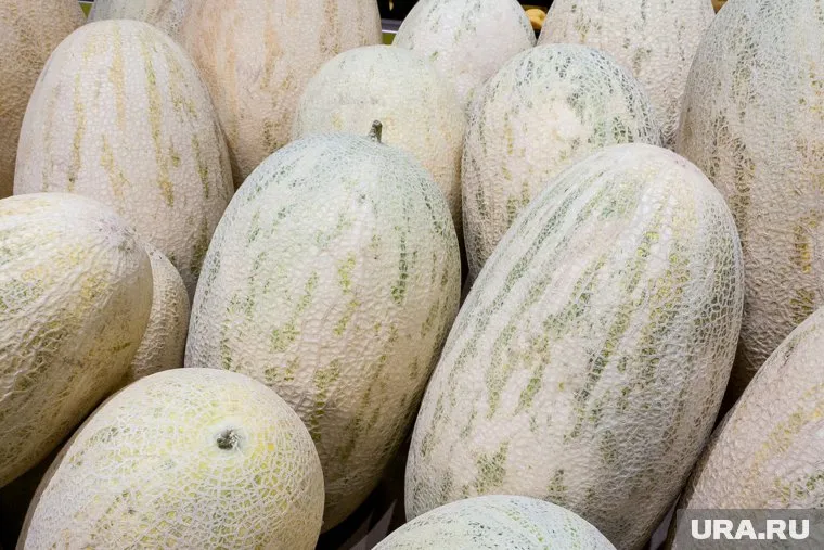 В сутки можно употреблять до 500 граммов дыни, считает Ирина Писарева