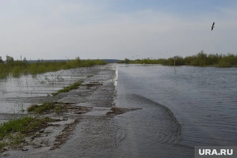 Ограничения действуют в Вагайском, Тобольском и Уватском районах