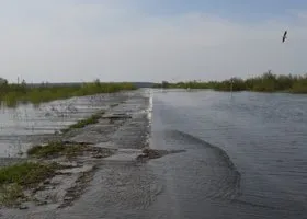 В Тюменской области из-за паводка перекрыли часть дорог