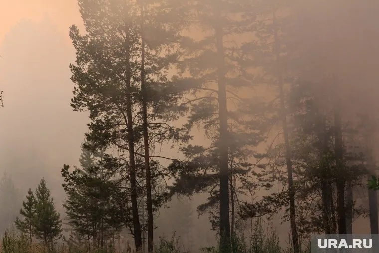 Искусственный интеллект помогает бороться с пожарами
