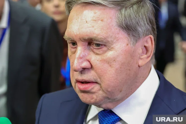 Ушаков поделился деталями переговоров Путина и Уиткоффа