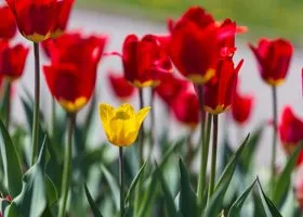 Фотография из галереи