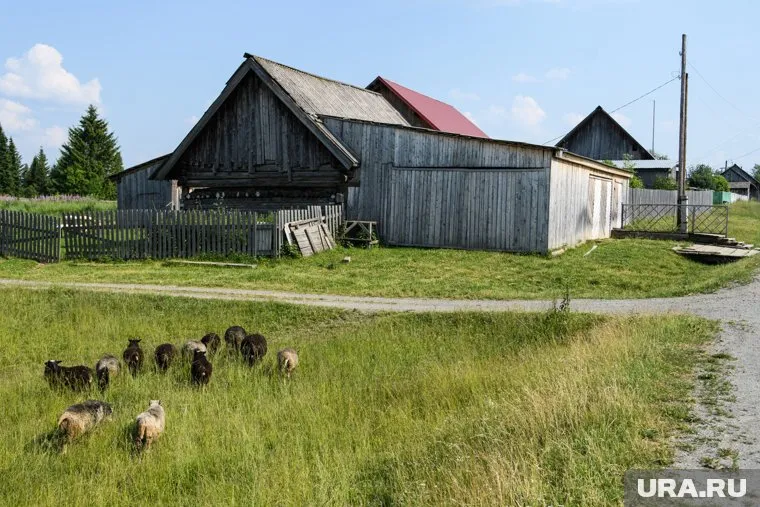 В деревнях необходимо поднять совхозы и заводы