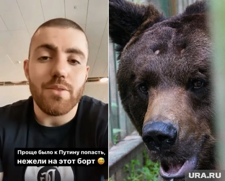 Инстаблогер очутился на базе отдыха, где живет медведь