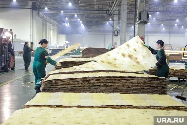 Компания "Свеза" станет новым собственником целлюлозно-бумажного комбината