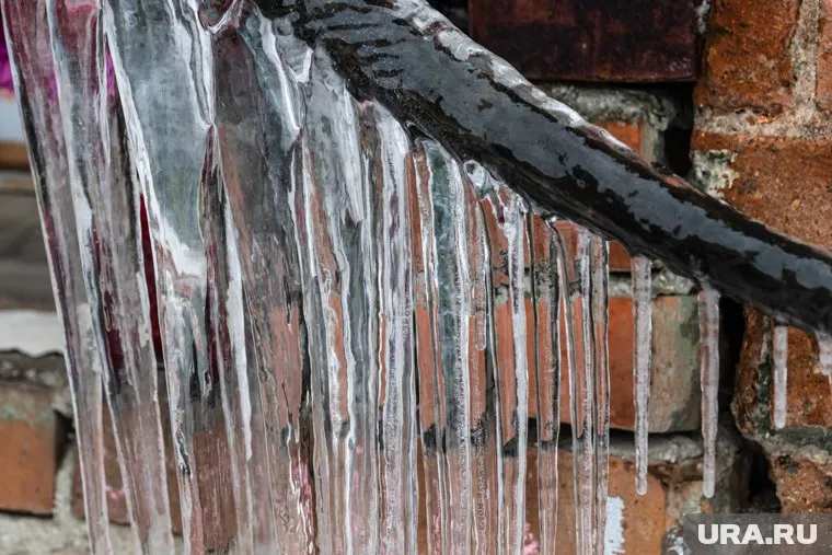 Полиция выяснит, кто виноват в травмах ребенка