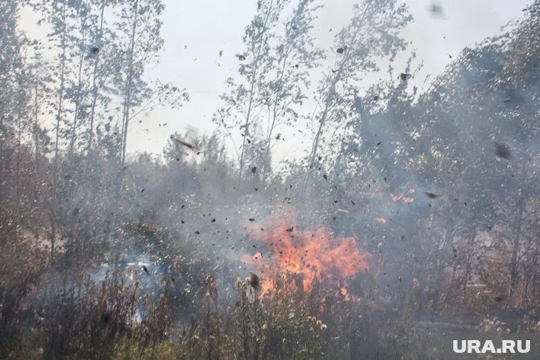 Пожары прогнозируют в четырех районах региона