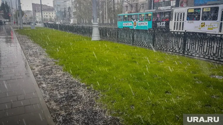 Снег засыпал всю зелень