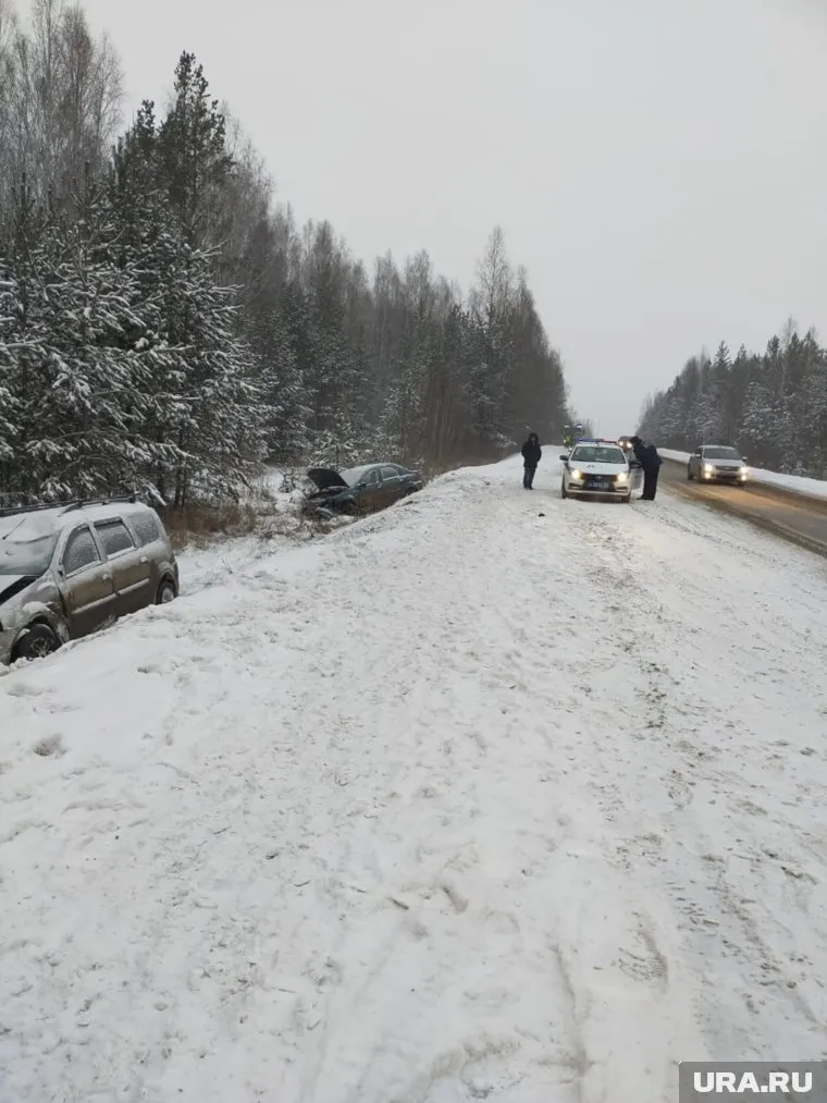 Активист был сбит на обочине из-за гололеда