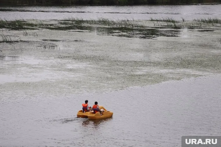 Мэрия Кургана ищет подрядчика, который очистит берег Тобола от нефтепродуктов