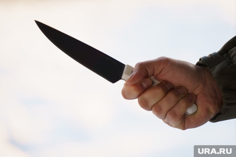 Челябинские полицейские раскрыли подробности задержания мужчины, напавшего с ножом на ребенка. Фото