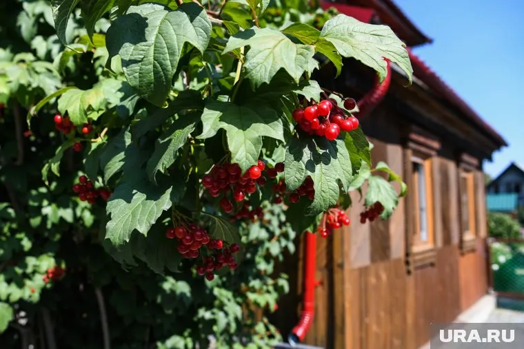 Средняя стоимость дач в Пермском крае выросла на 8% — до 426 тысяч рублей