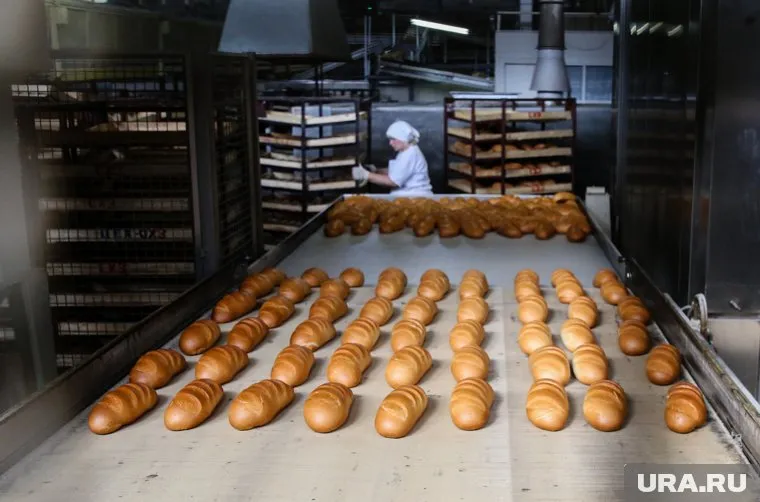 Поцелуй Ольги Бузовой на съемках шоу «Сокровища императора» шокировал публику