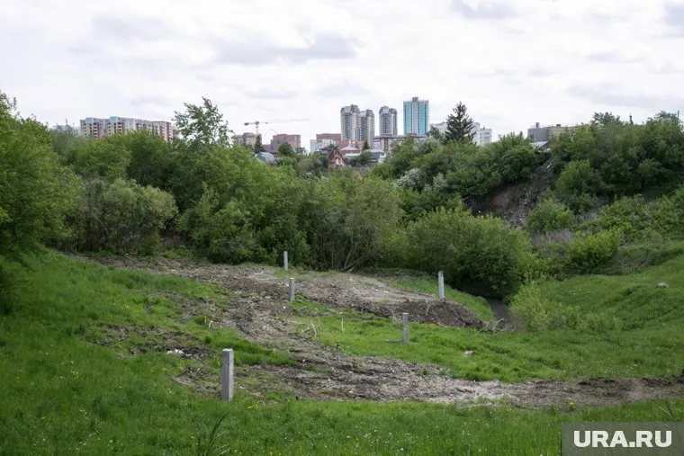 Тело обнаружили в деревне в овраге (архивное фото)