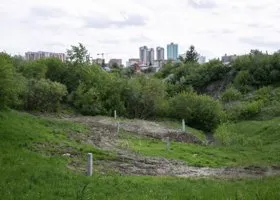 Свердловчанку убили и закопали в овраге из-за выплаты за смерть мужа на СВО