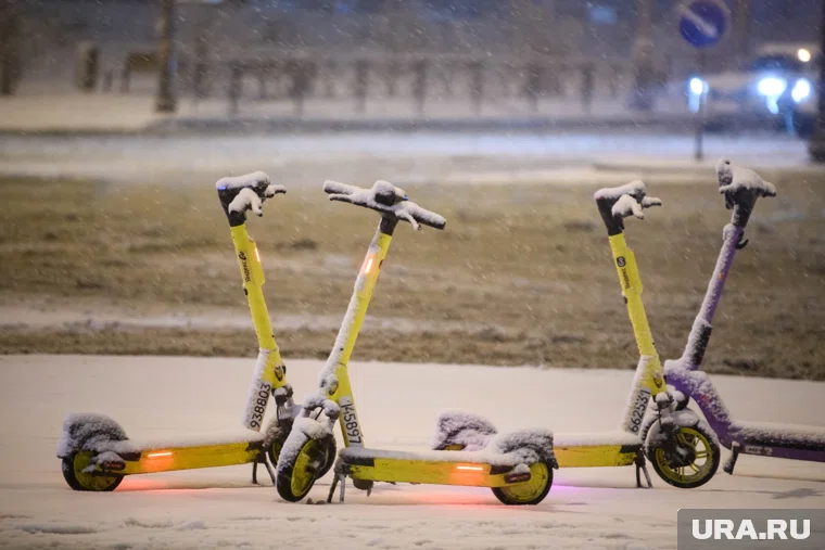 Получение водительских прав для самокатчиков - избычное требование, уверен сенатор Шейкин