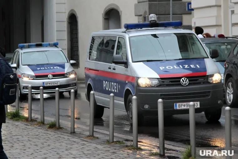 Криминальный авторитет задержан по просьбе МВД России