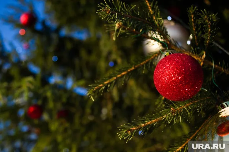 Роспотребнадзор рекомендует выбирать ель с гибкими ветвями, ровным толстым стволом и одной макушкой