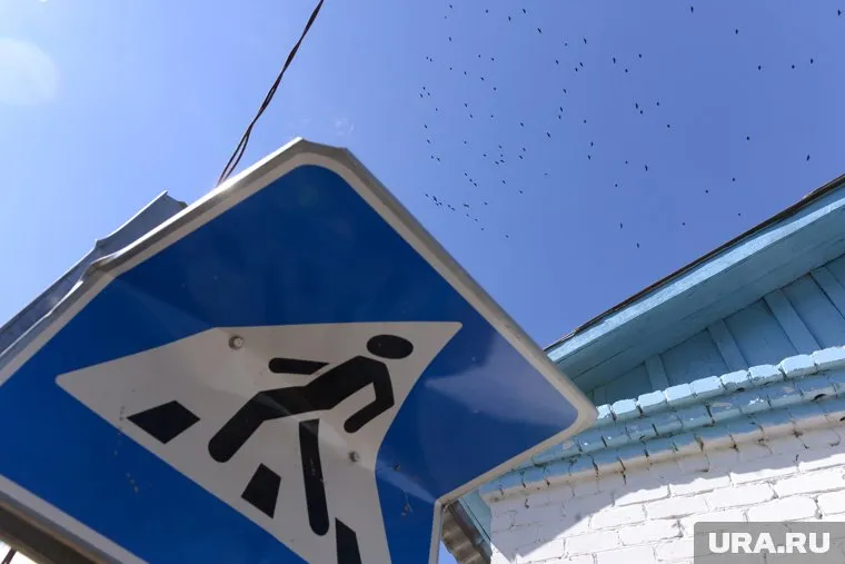 Камшиловы требуют установки освещения пешеходных переходов на федеральной трассе в пригороде Кургана