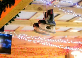 Тулупчик и комарик: в Тюмени выбрали логотип для нового катка