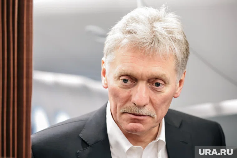Песков столкнулся с проблемой при голосовании из-за перегрузки системы