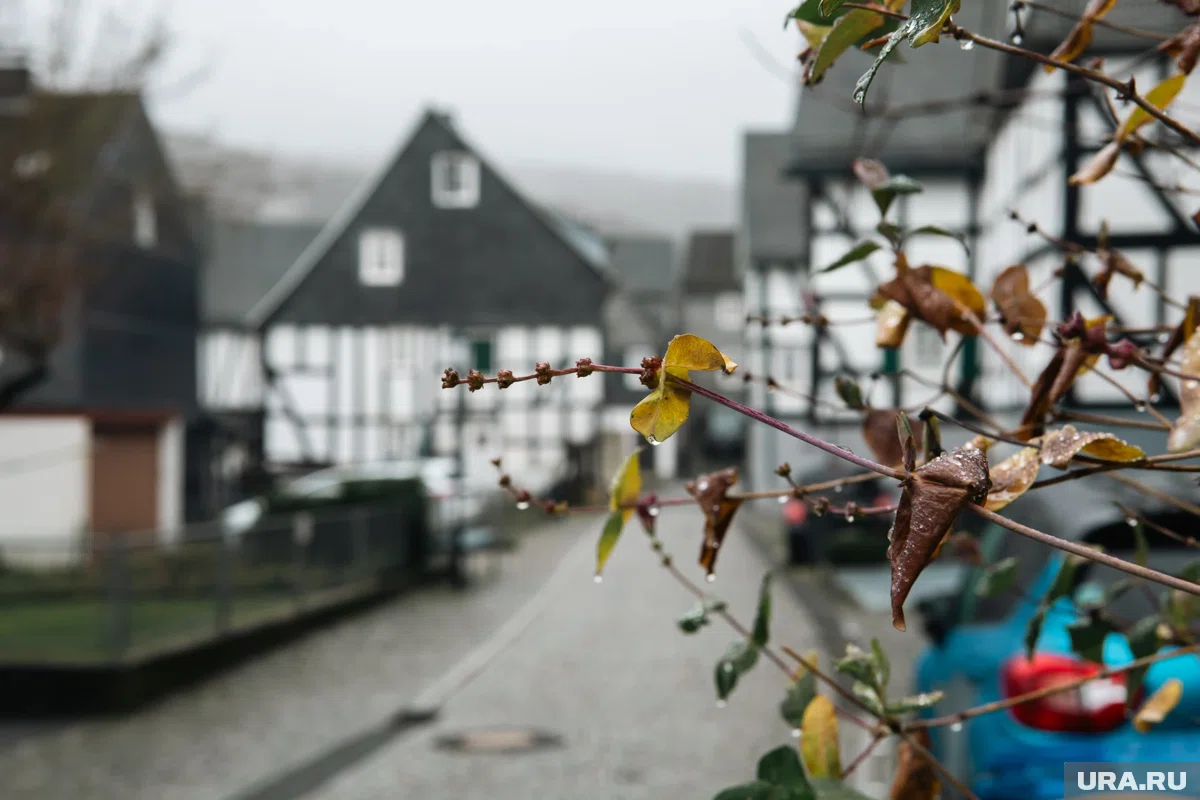 Школьники в Германии решили выйти на митинги