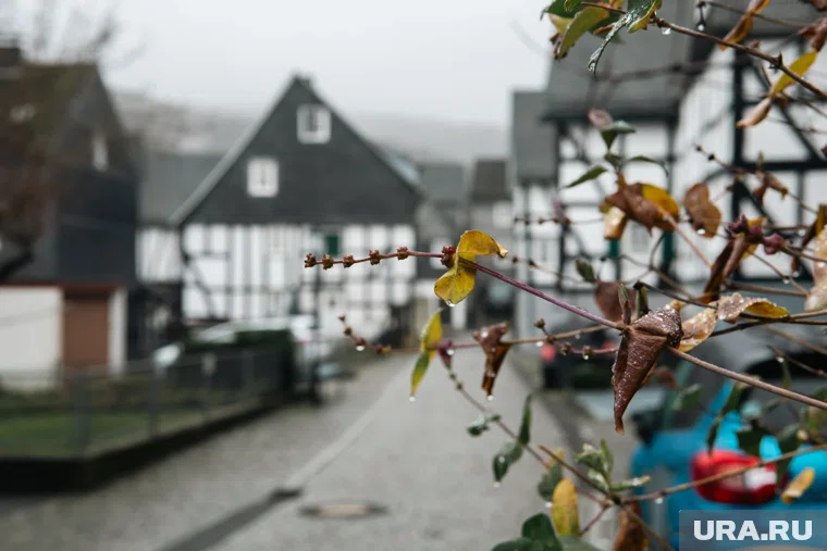 Школьники в Германии решили выйти на митинги