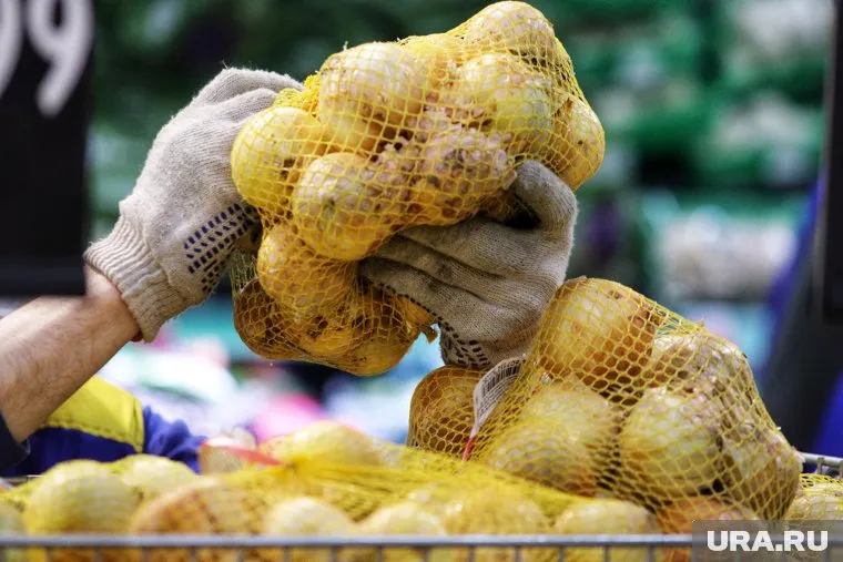 В регион, в том числе, пытались незаконно провезти 20 тонн лука
