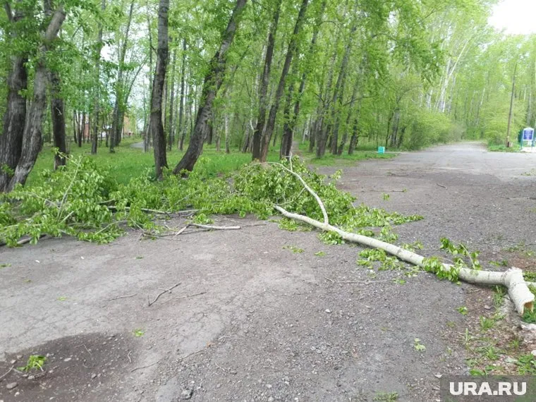 Девушка гуляла со своими детьми в парке возле Дома культуры