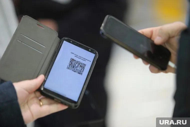 В Кургане расследуют продажу QR-кодов