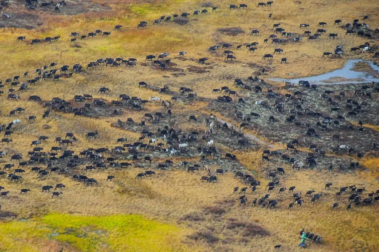 Природа Ямало-Ненецкого автономного округа