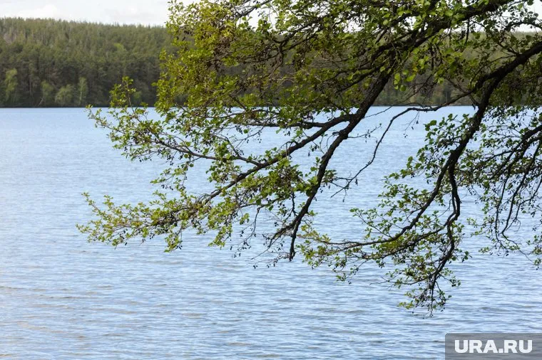 Челябинцы пожаловались на платный проезд и проход к озеру Кумкуль