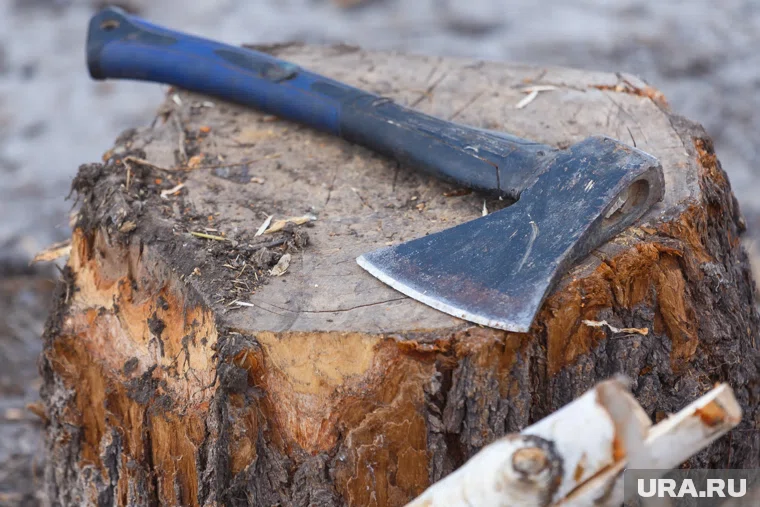 Женщина пренебрегла правилами безопасности при колке дров (архивное фото)