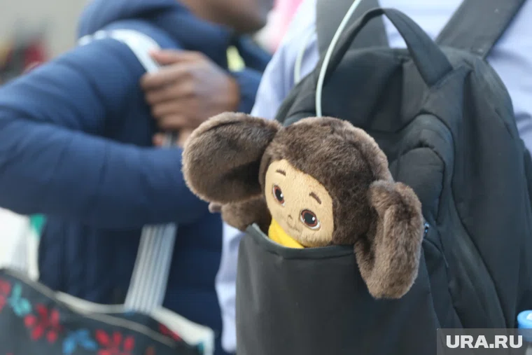 Тюменская компания использовала образ чебурашки для брендинга своего печенья