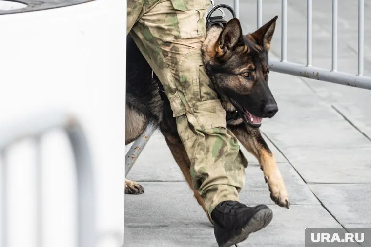 К поиску пропавших в ХМАО школьниц подключилась мэрия Нижневартовска