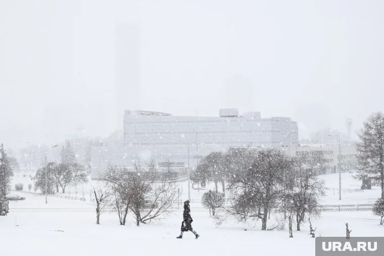 В России через 5-10 лет зимы станут стабильно теплыми и снежными