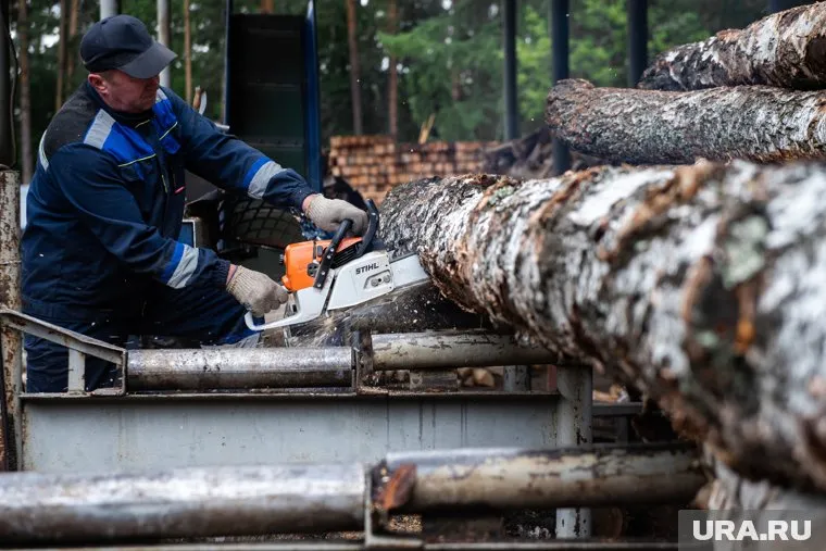 В 2021-м цена на древесное сырье в Литве выросла на 40 процентов, а в этом — еще примерно на пятую часть