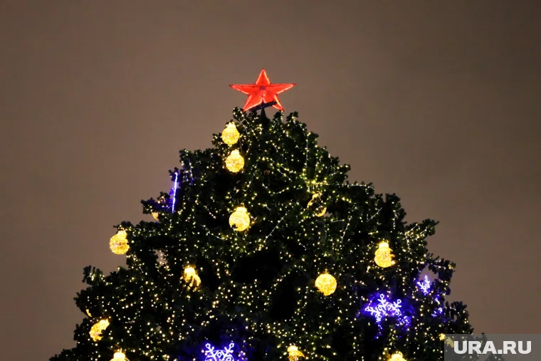 В Шадринске зажгли огни на главной елке города (архивное фото)