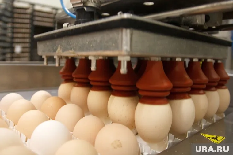 Ответ на инициативу ФАС компании должны дать до 4 декабря