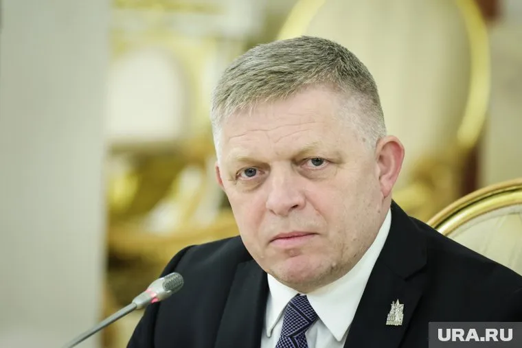 Фицо заявил, что намерен встретиться с Зеленским в пятницу