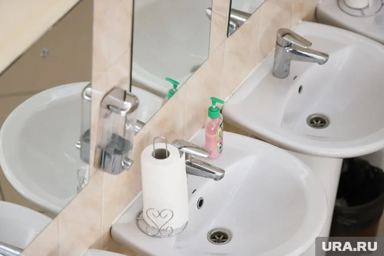 Стартап Богдановой может производить моющие средства