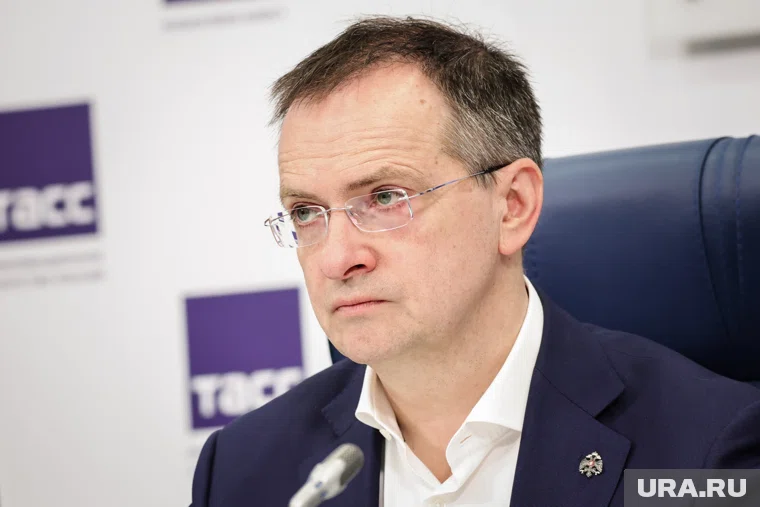 Мединский заявил, что может самостоятельно провести ликбез по истории для Каллас 