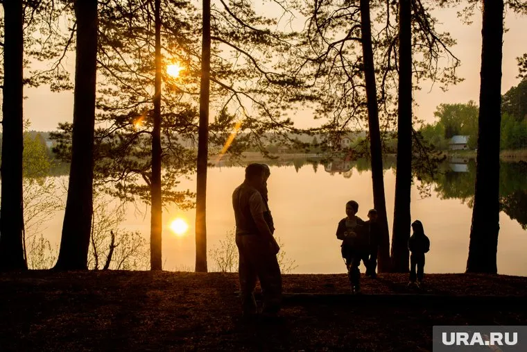 Губернатор Тюменской области разрешил жителям посещать леса с 31 июля