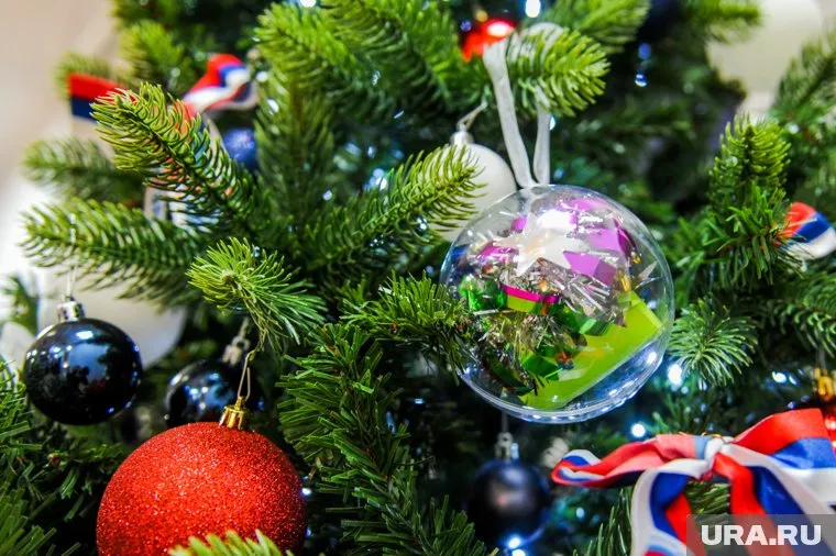 «Елка желаний» проходит на Ямале в пятый раз